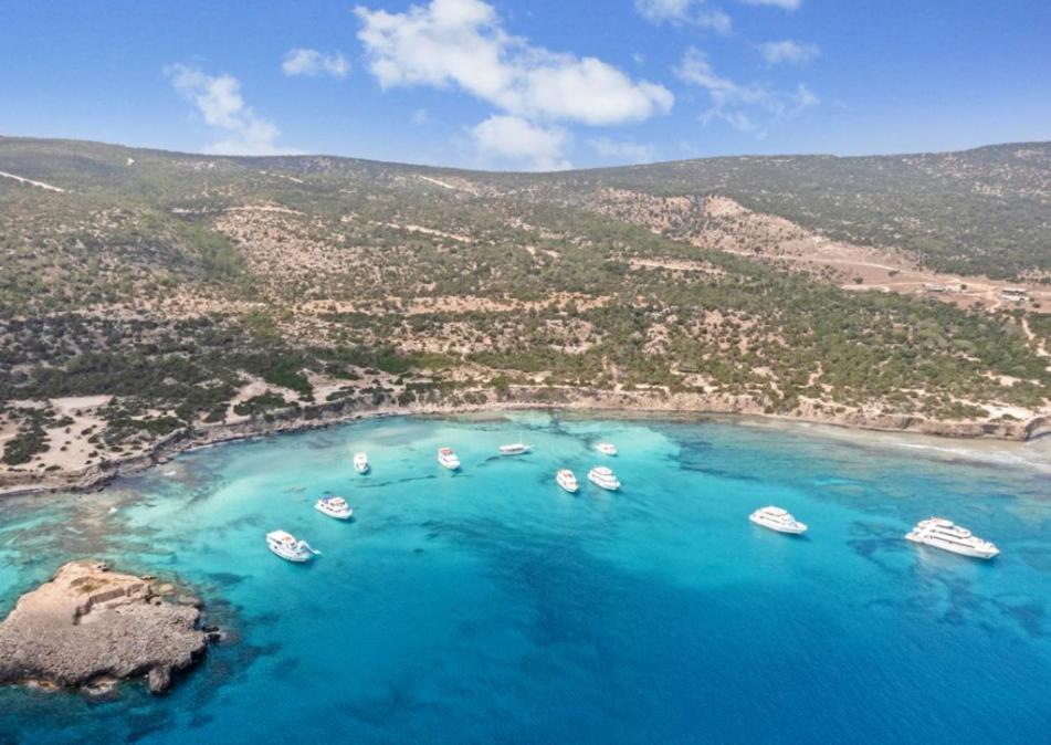 Olive Shared Pool Apartments Πάφος Εξωτερικό φωτογραφία